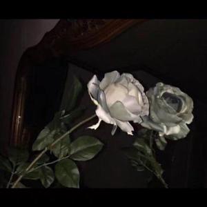 爆乳美女午夜福利视频
